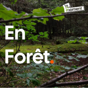 En Forêt - Le moment