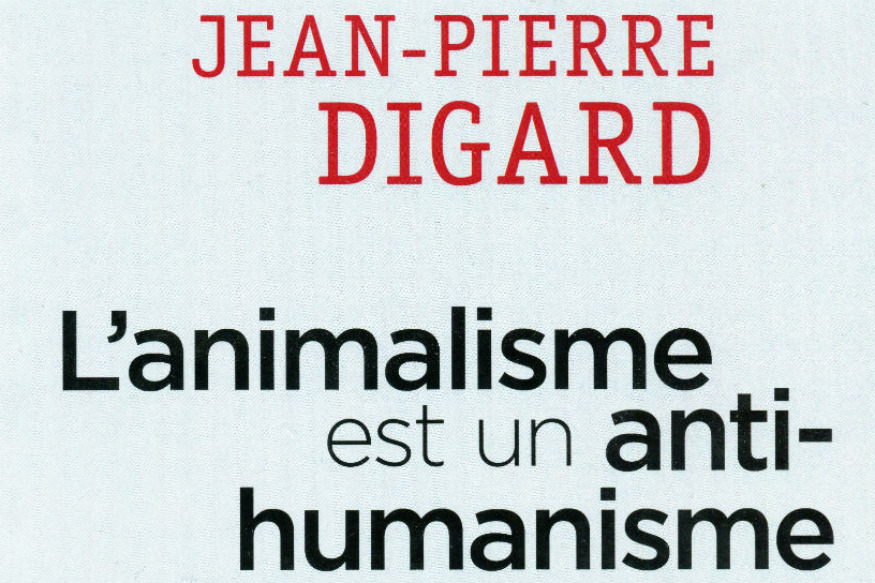 La vie est un roman # 23 octobre 2018
