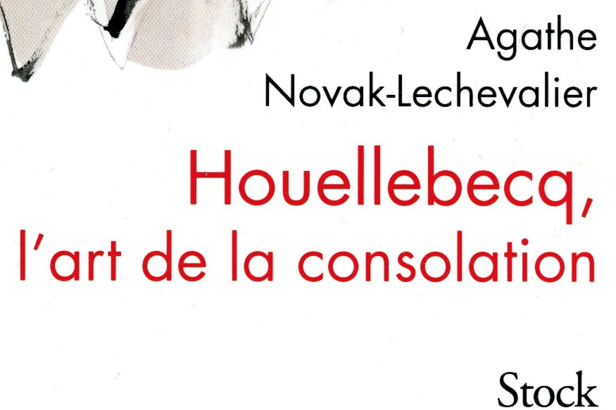 La vie est un roman # 15 janvier 2018 # Agathe Novak-Lechevalier & Michel Houellebecq @ Thomas Hunkeler - Paris et le nationalisme des avant-gardes 1909-1924.