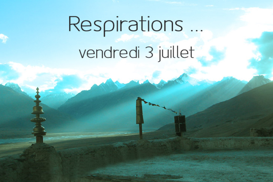 Respirations # 03 juillet 2020 : Rencontre avec Amy Hollowell, roshi de la Sangha Wild Flower Zen et Martine Bodilis experte en streching postural