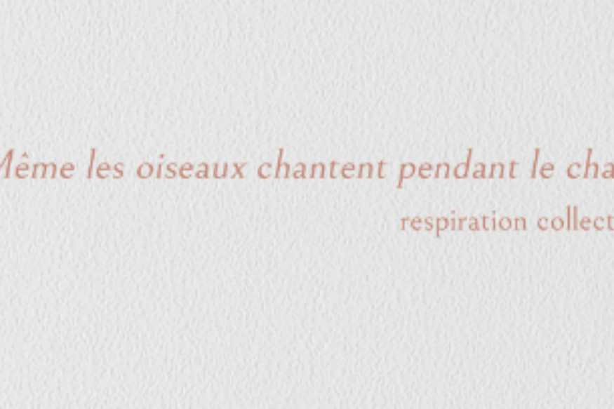 La vie est un roman # 06 octobre 2020 - Christine Smilovici nous parle de "Même les oiseaux chantent pendant le chaos"