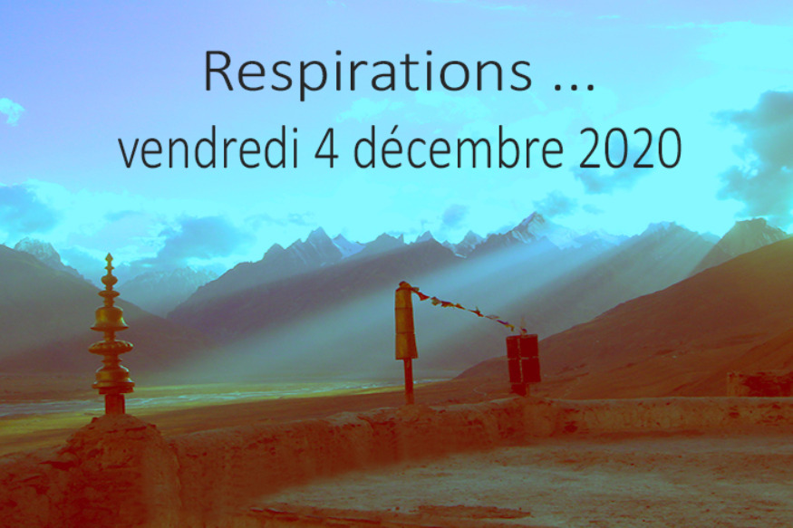 Respirations # 04 décembre 2020 : Rencontre avec Sofia Stril-Rever