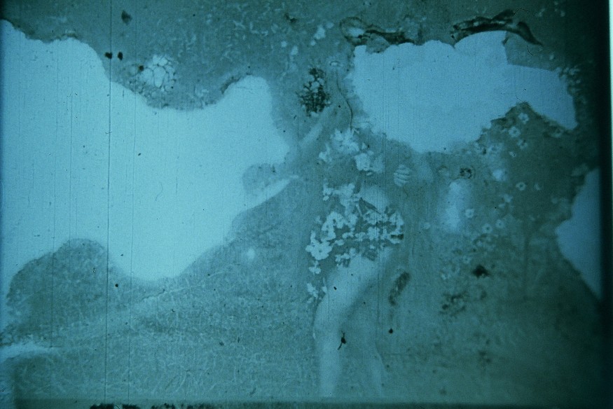 La vie rêvée des ondes - Numéro 5