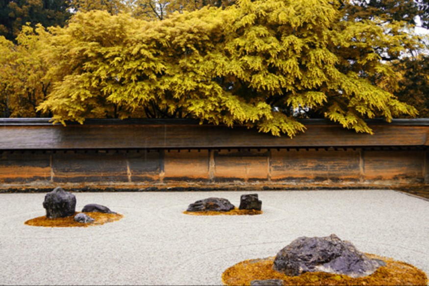 Respirations # 28 octobre 2025 - Rencontre avec Sandrine Chenivesse