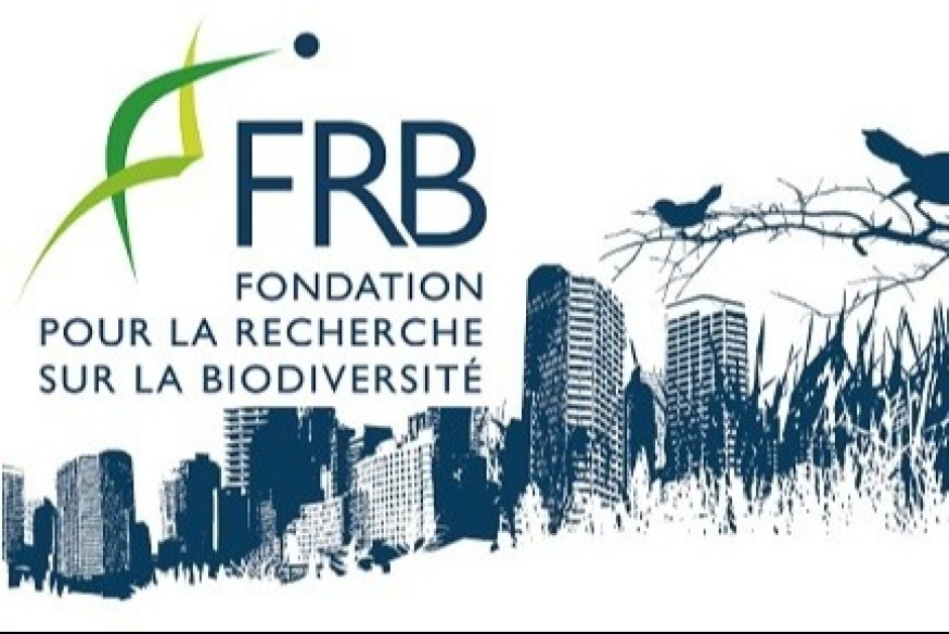 Les arènes de l'écologie #38 - Sur les échelles de la biodiversité