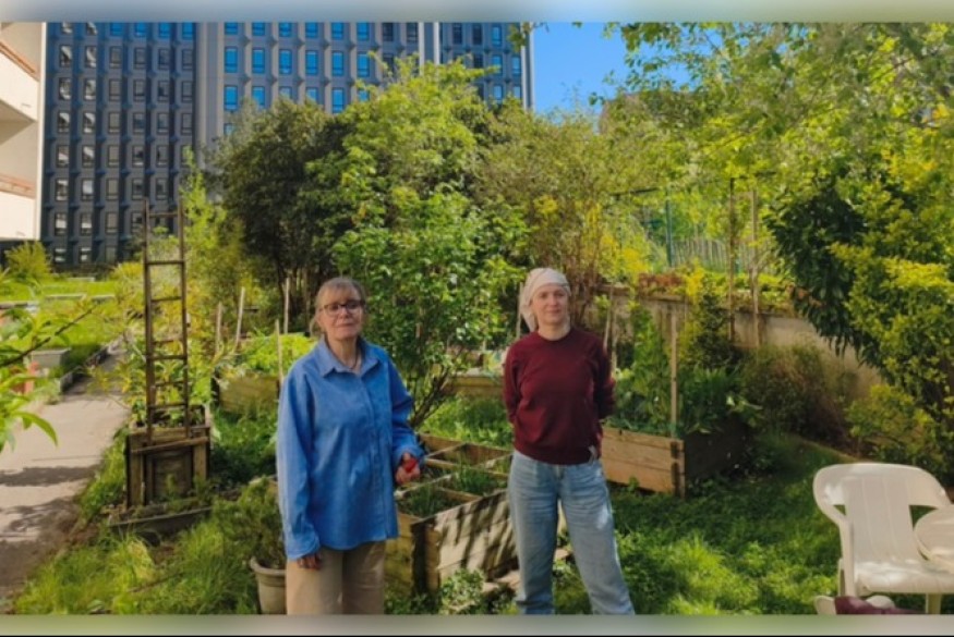 L'étincelle dans la ville # 20 avril 2026 - A la découverte du Jardin partagé Georges Boudry