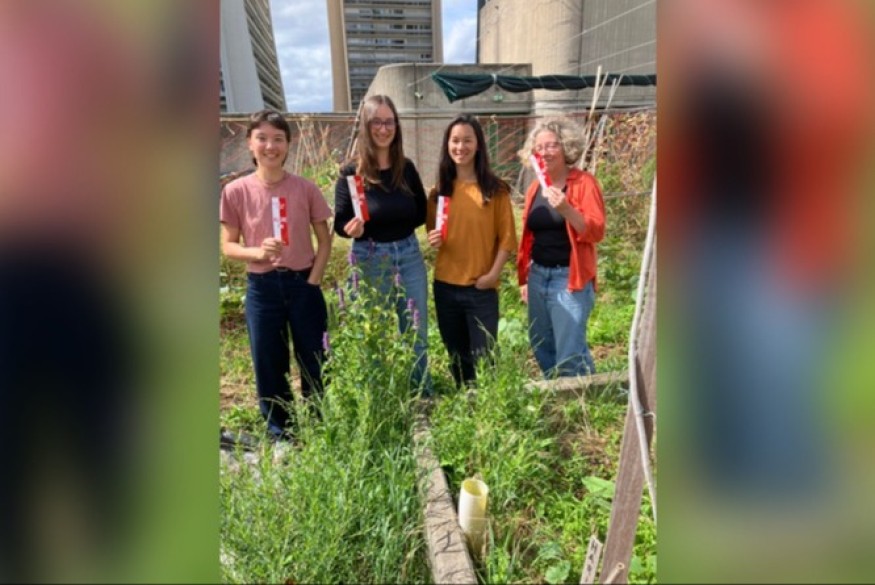L'étincelle dans la ville # 29 juin 2026 - Les fourmis qui jardinent